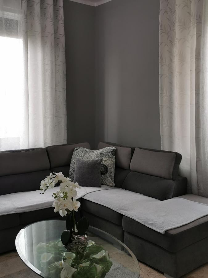Splendido Appartamento In Zona Centrale Alessandria Esterno foto